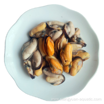 frozen cooked mussels prices fresh water mussel